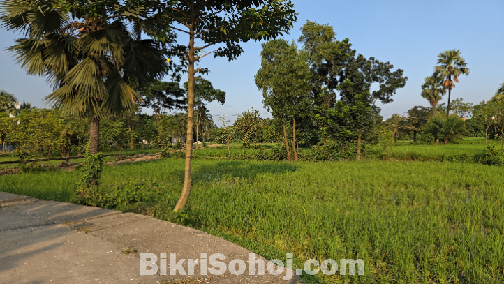 টঙ্গীর গাছায় ৪ বিঘা  জমি ভাড়া হবে